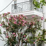 Casa Bianca μεζονέτα με θέα στη θάλασσα *