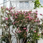 Apartment Casa Bianca μεζονέτα με θέα στη θάλασσα *