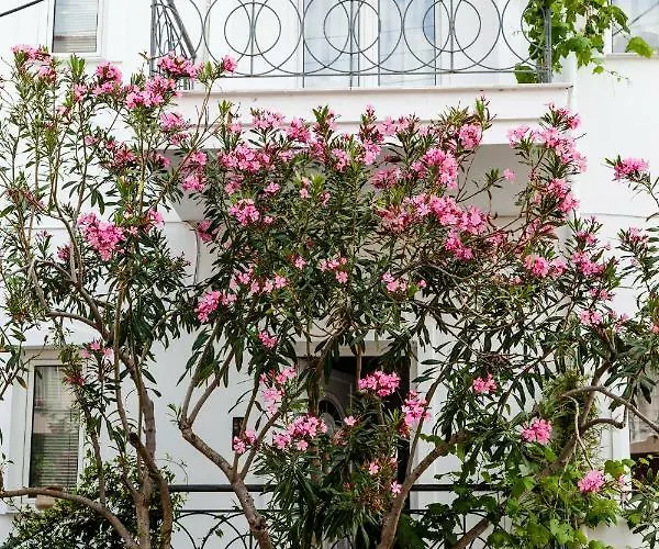 Apartment Casa Bianca μεζονέτα με θέα στη θάλασσα *